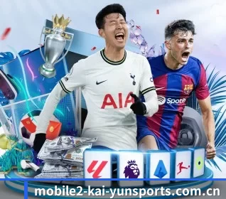开云体育app登录入口 APP 界面